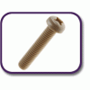 PEEK® pan head screw [180] (180032070409)