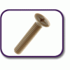 PEEK® countersunk screw [181] (181050870409)