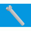 Slotted cheese head screw [536] (536016000002)