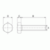 Transparent hexagonal head screw [177] (177802000022)