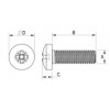 Pan head machine screw metal DIN 7985 [342-m] (342031641553)